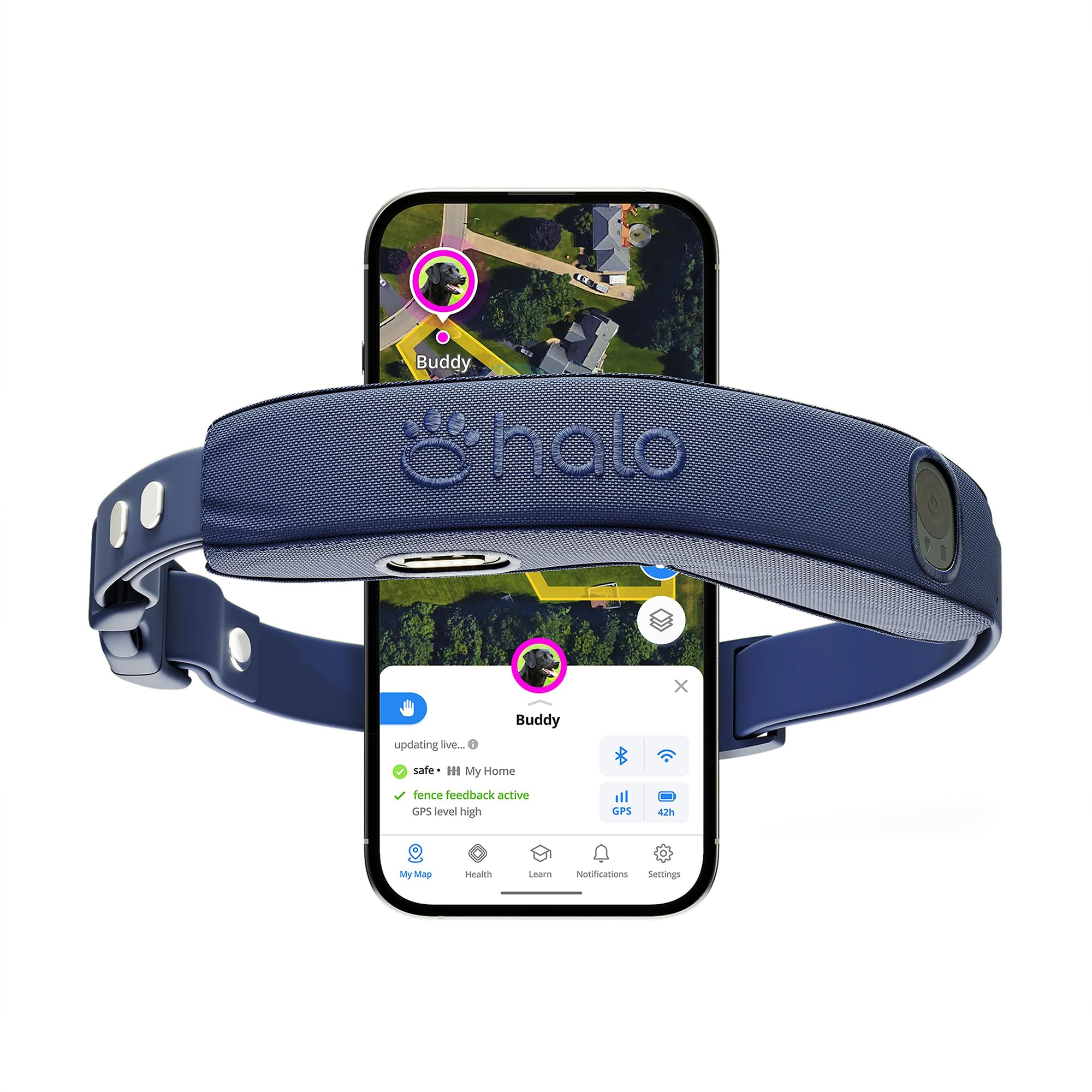Halo Collar 5 fence setup demonstrates real-time boundary visibility for safe yard training