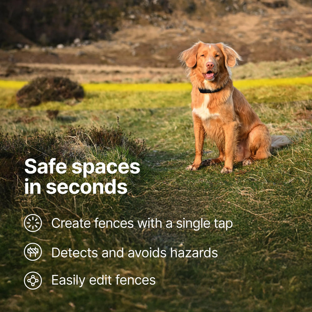 Halo Collar 5 Orchid waterproof shell designed for all-weather use.