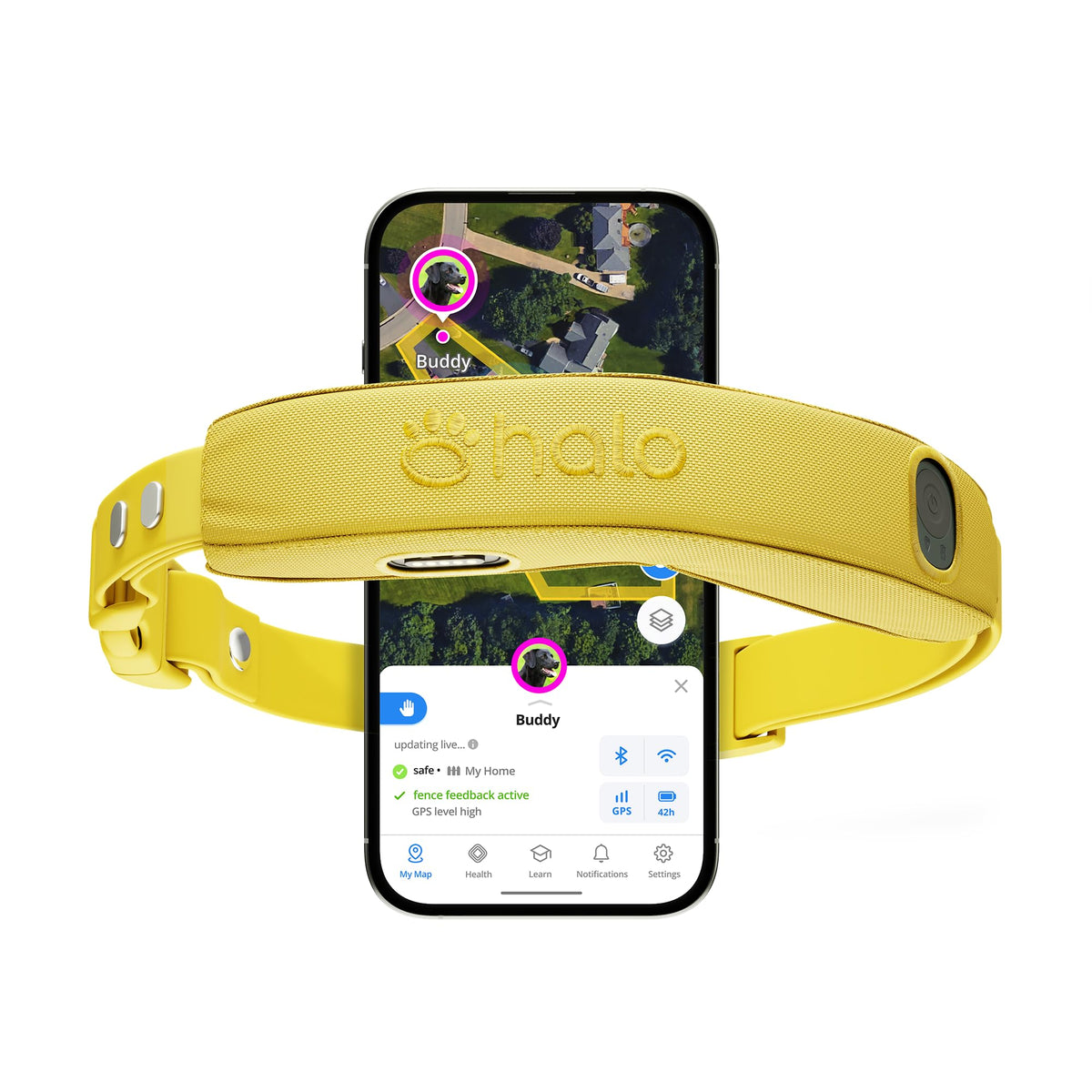 Halo Collar 5 sunburst waterproof design on an active dog for outdoor adventures