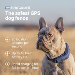 Halo Collar 5 GPS location tracking highlights precise updates.