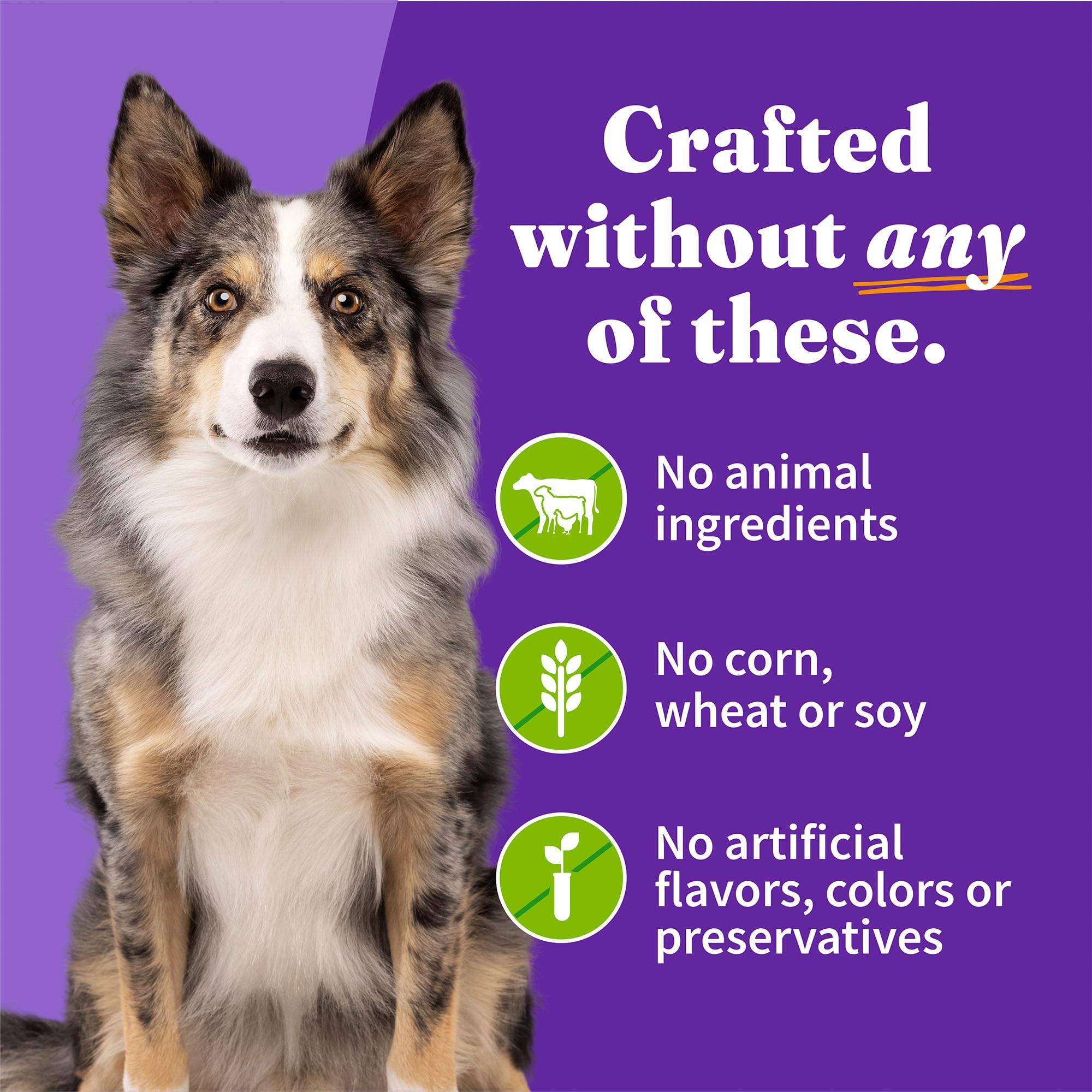 Halo Garden of Vegan ingredients sourced from USA and sustainable packaging.