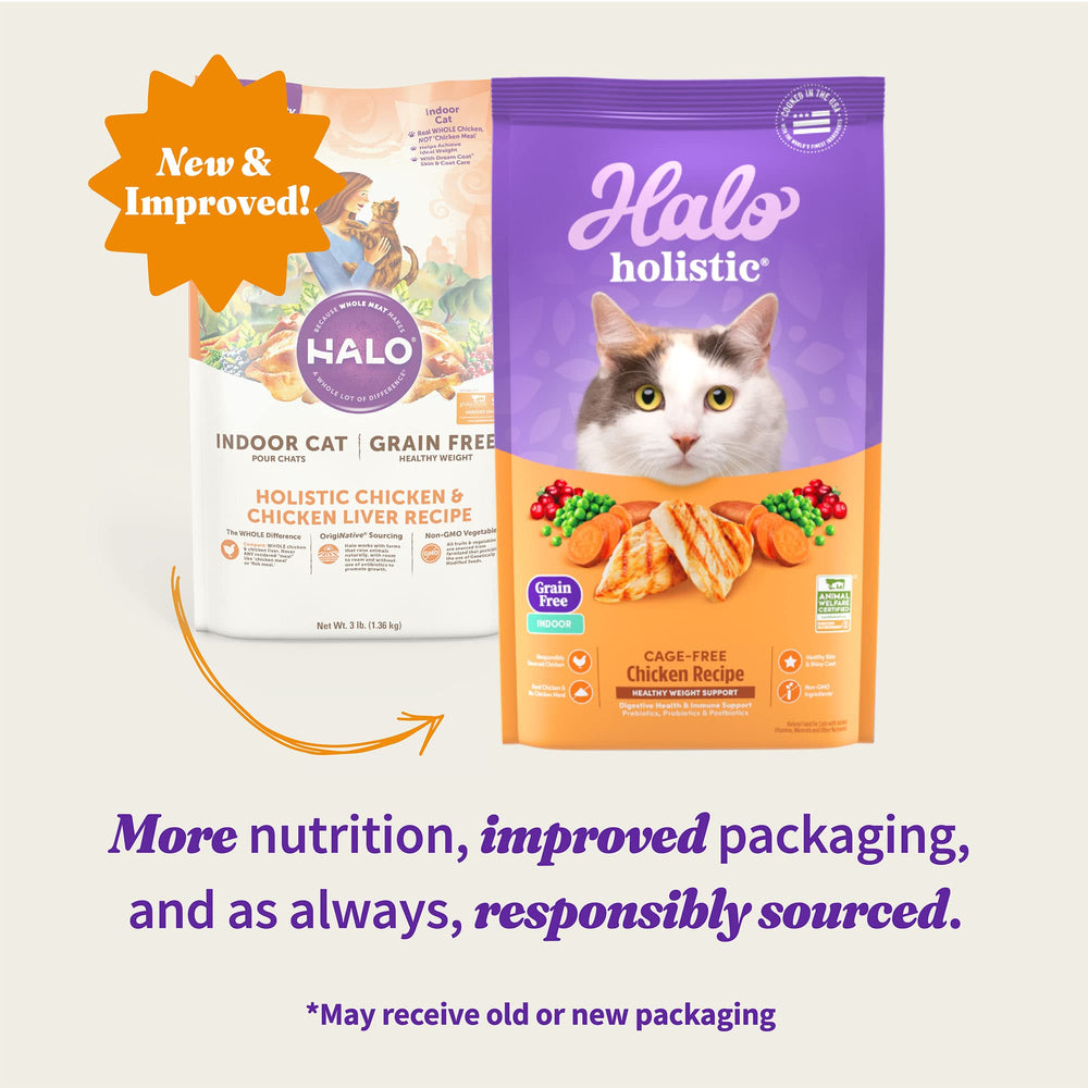 Halo Holistic chicken recipe kibble closeup, crisp bites for digestion support.