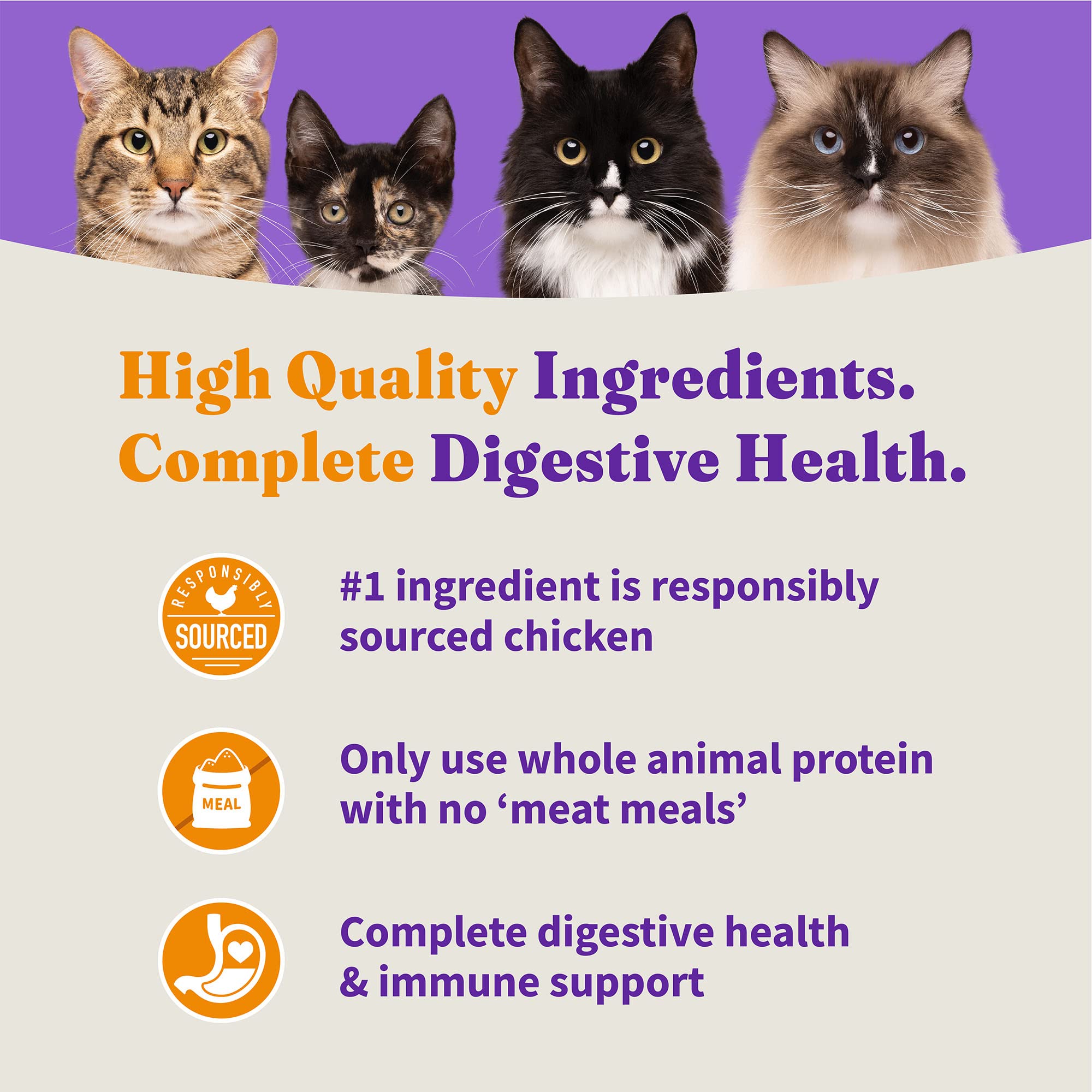 Halo Holistic chicken recipe omega-fatty-acids support healthy skin and coat.