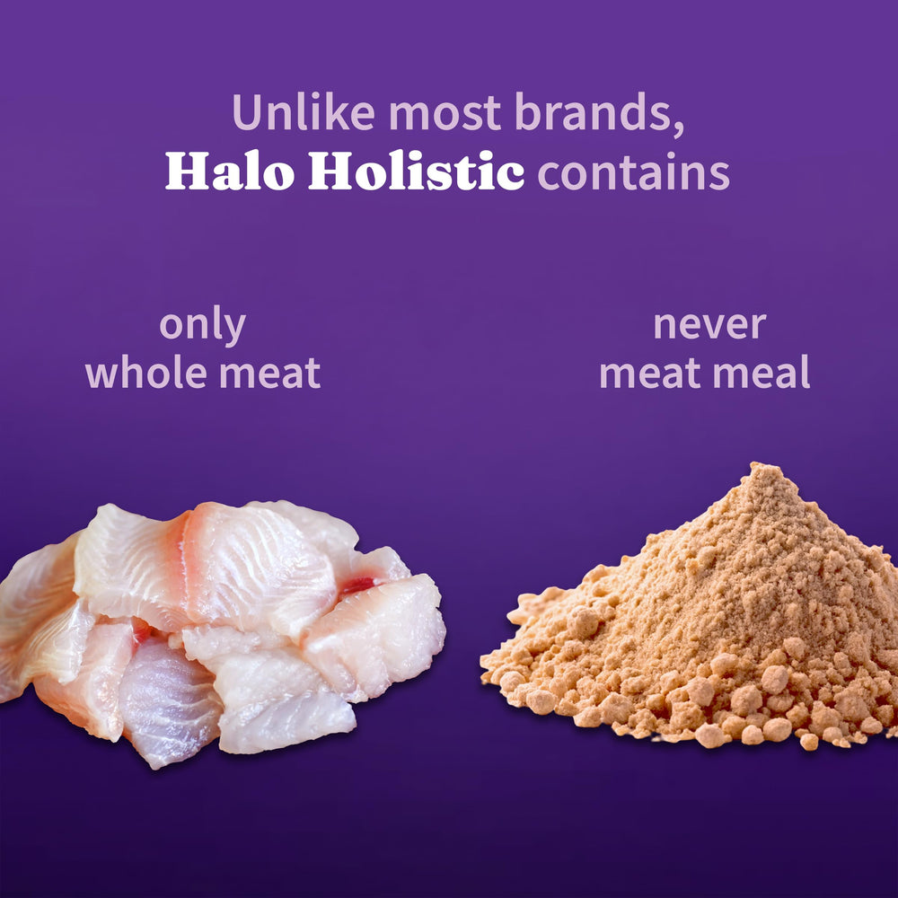 Halo Holistic digestive-health blend showcases prebiotics, probiotics and postbiotics for sensitive stomach support.