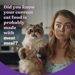 Halo Holistic kibble in cat bowl emphasizes crunchy texture suitable for adult cats.