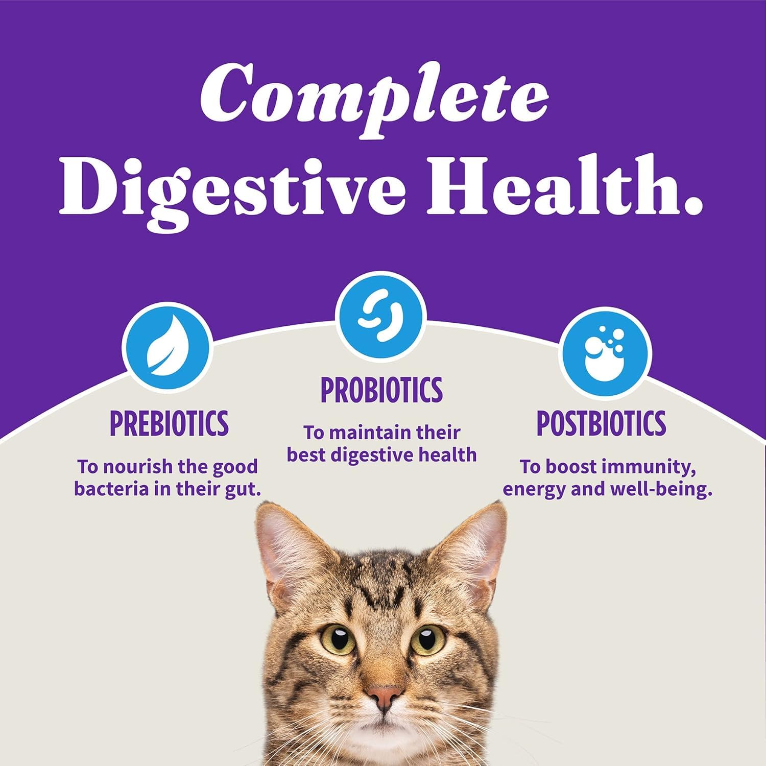 Halo Holistic non-gmo ingredients emphasize clean nutrition without common fillers.