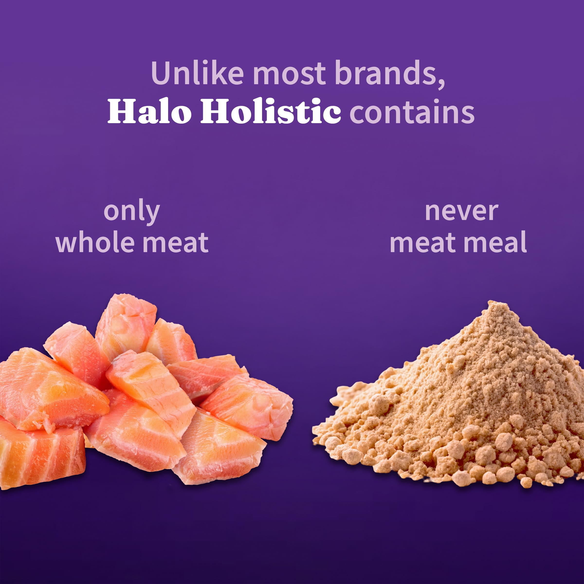 Halo Kitten Food with DHA supports brain development in kittens