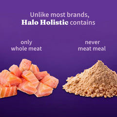 Halo Kitten Food with DHA supports brain development in kittens