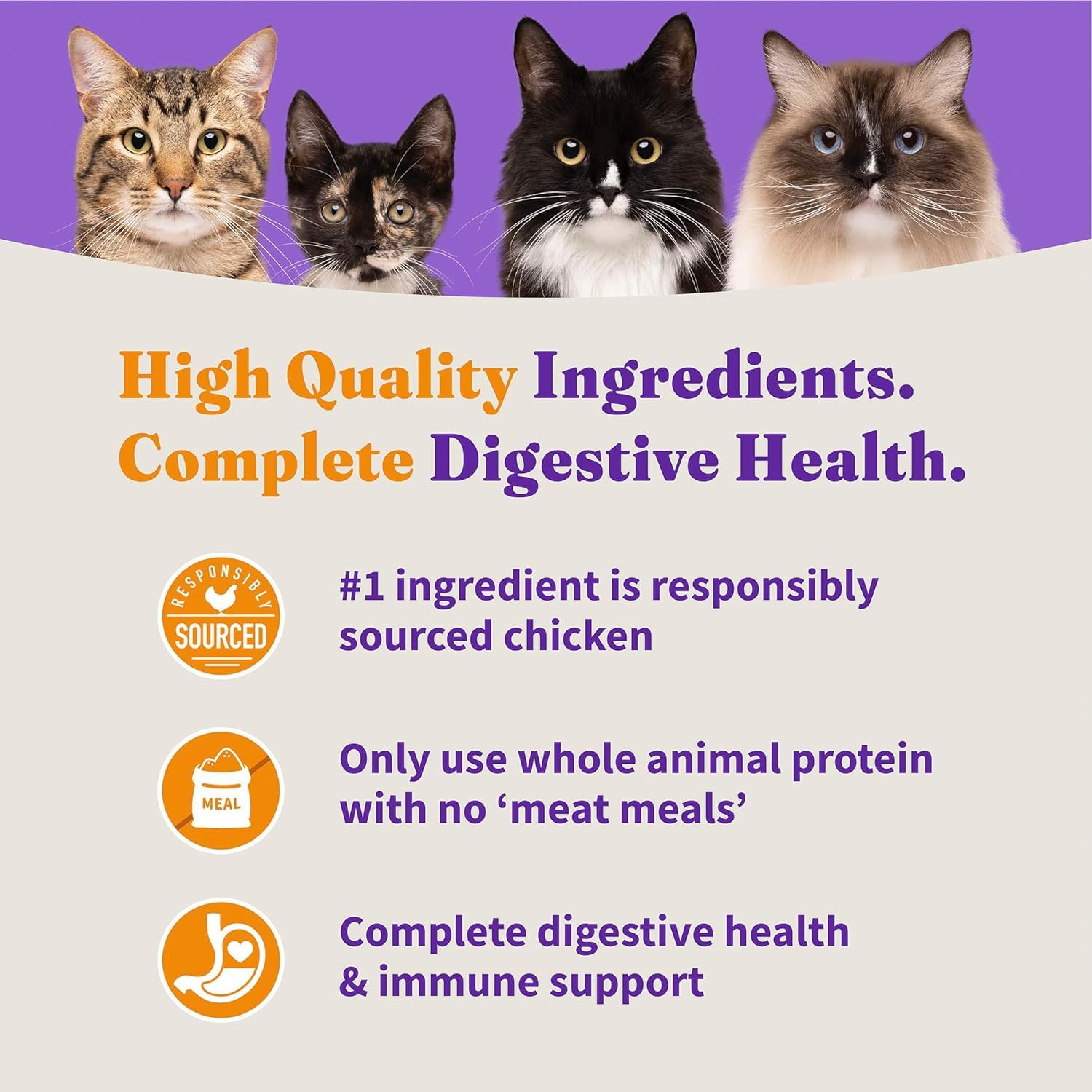 Halo Skin Coat Omega Fatty Acids close-up promises healthy shine and coat condition.