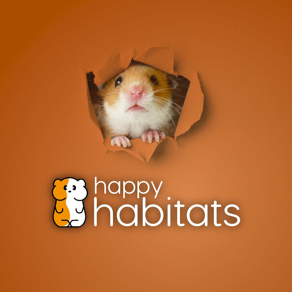 Happy Habitats The Halo transparent shell lets you supervise tiny pets during exploration.