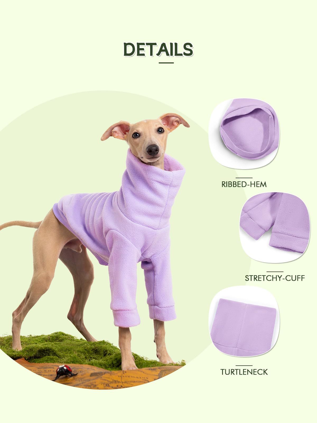 Haloumoning dog photo-shoot-warmth garment adds cozy style to shoots