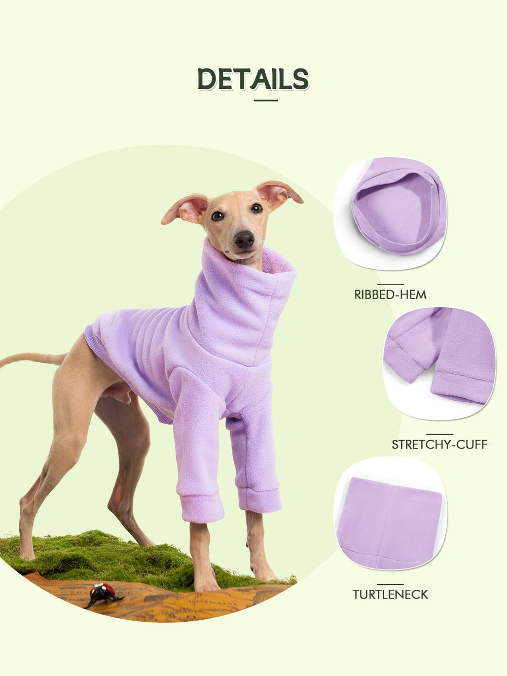 Haloumoning dog photo-shoot-warmth garment adds cozy style to shoots