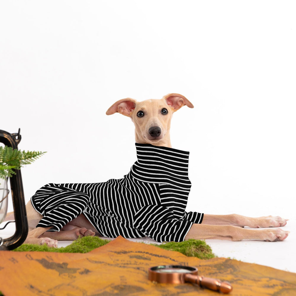 Haloumoning dog sizes guide helps select the right fit from XS to XXL.