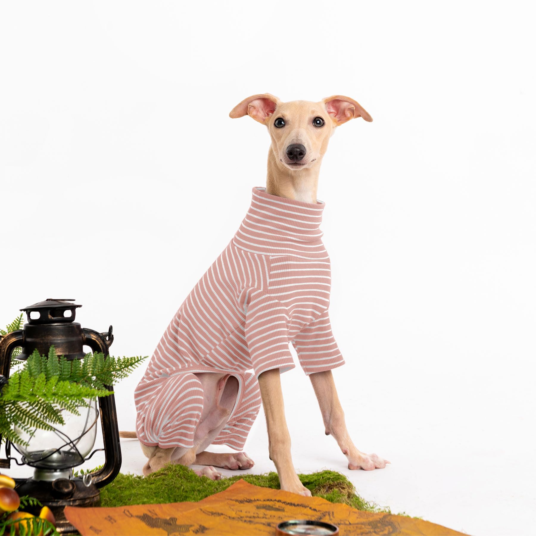 Haloumoning dog sweater back-view showcases full-back coverage and soft fabric.