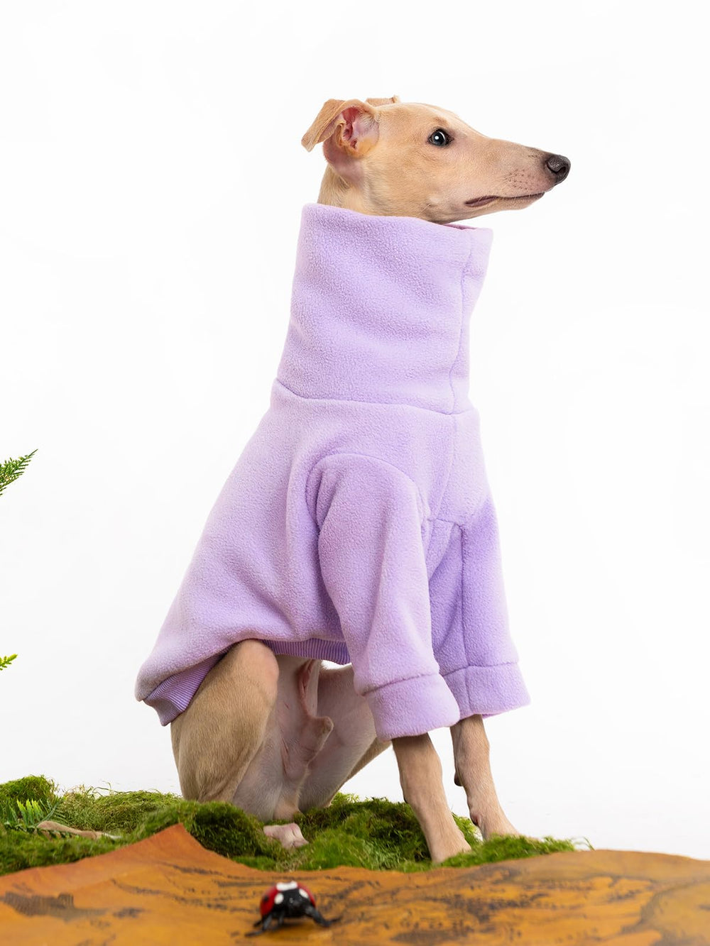Haloumoning dog sweater easy on-off design for quick potty breaks