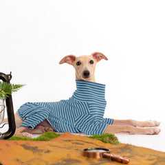 Haloumoning dog sweater elastic belly closure for quick, comfortable wearing