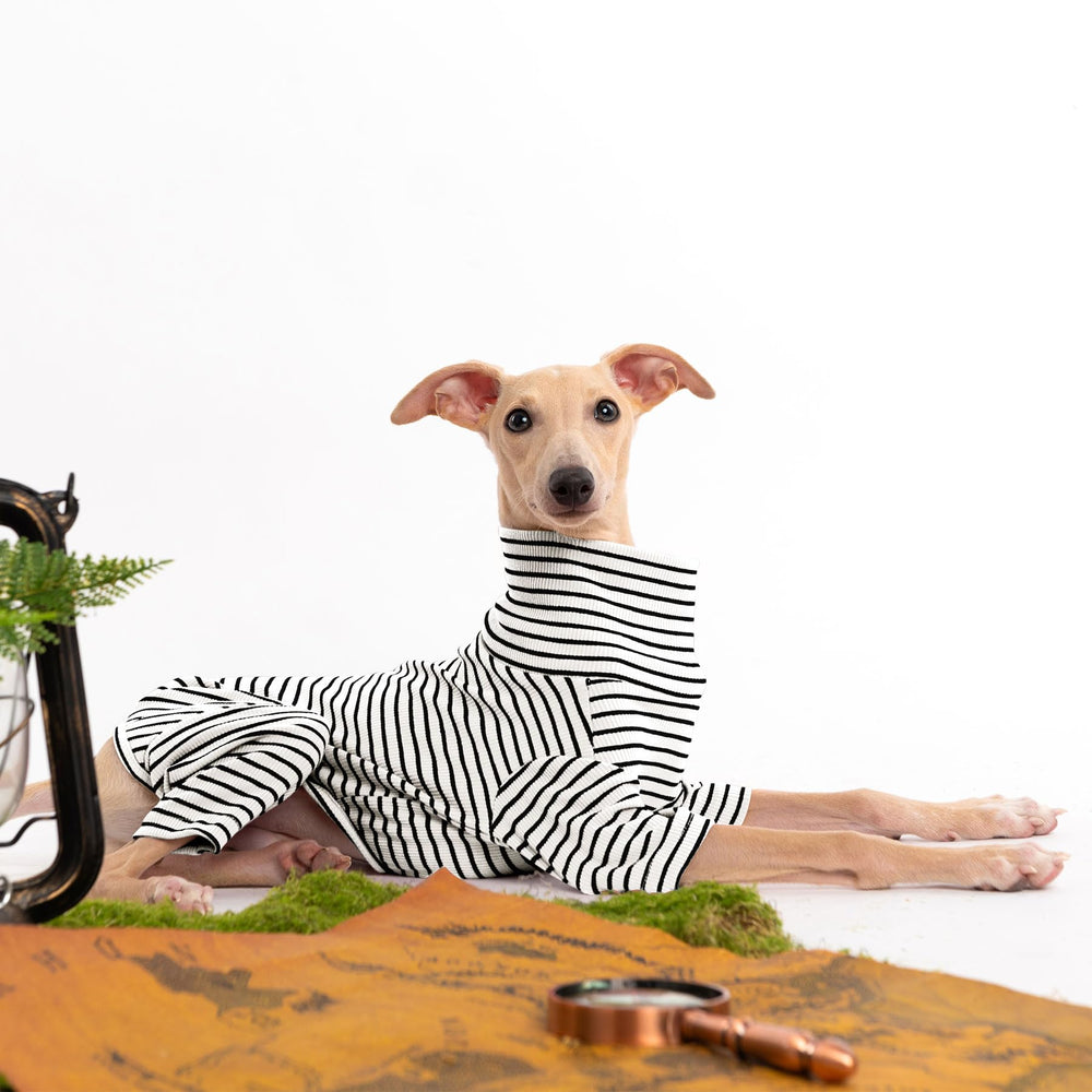 Haloumoning dog sweater elastic underbelly, easy on-off for quick outdoor trips.