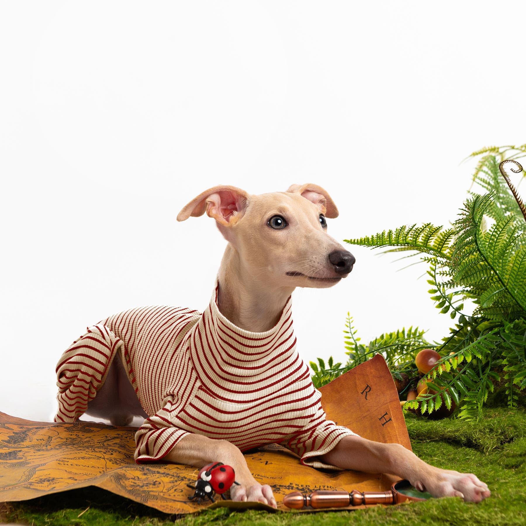 Haloumoning dog sweater elastic underbelly for easy on-and-off