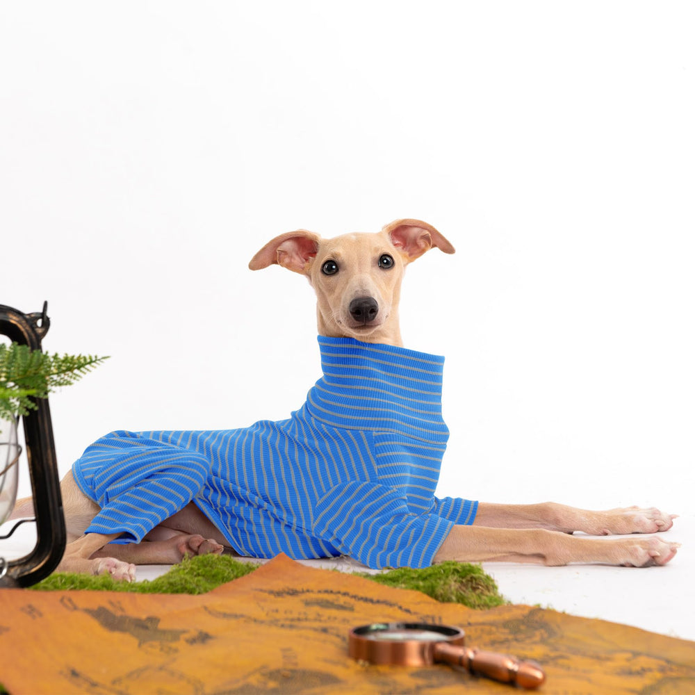 Haloumoning dog sweater elastic underbelly enables easy on/off