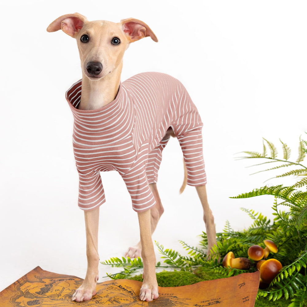 Haloumoning dog sweater front-view highlights cozy knit and snug fit.