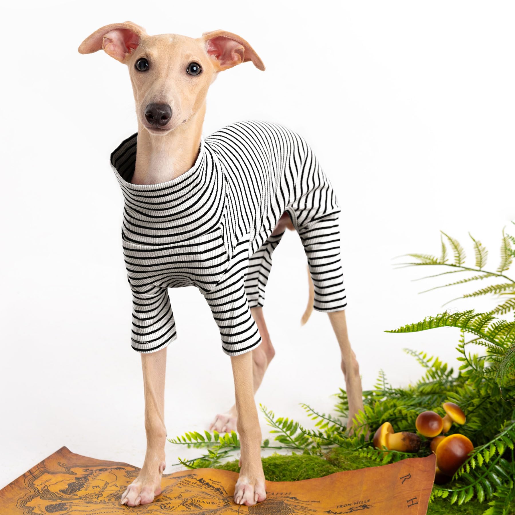 Haloumoning dog sweater knit-winter-cozy feel, soft fabric for daily wear.