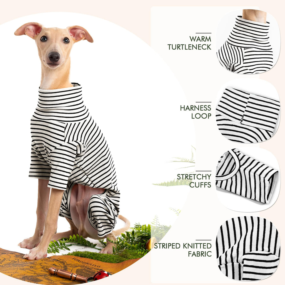 Haloumoning dog sweater model wearing, showcases stripe detail and movement.