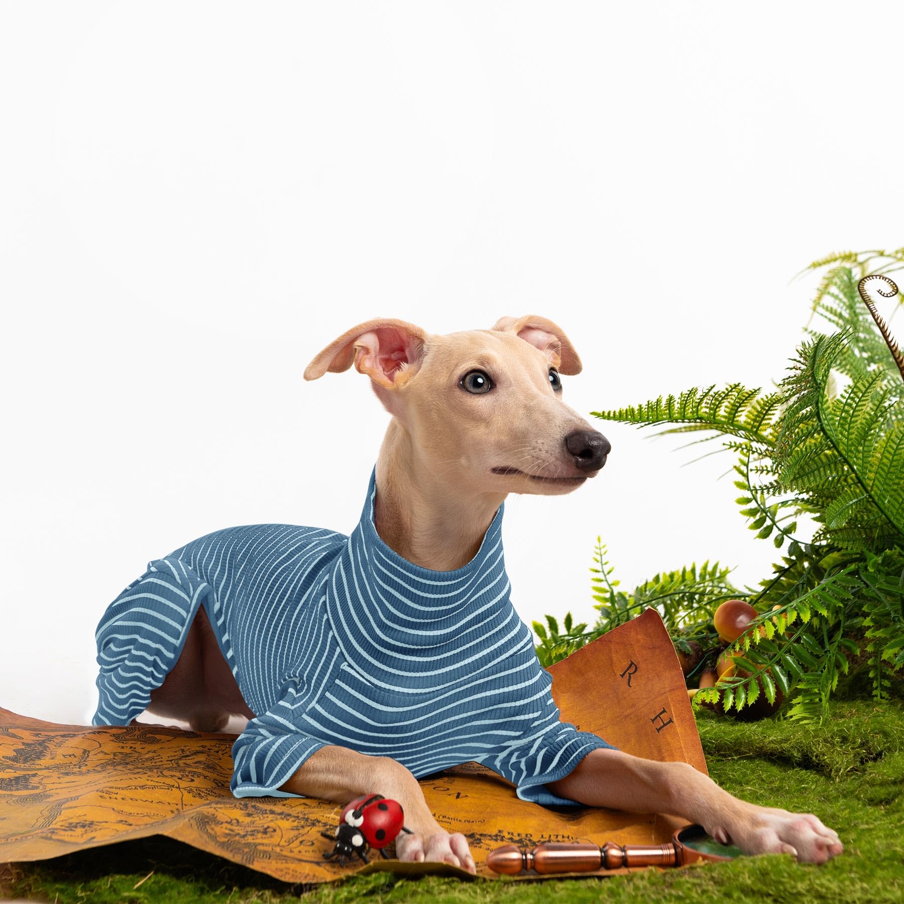 Haloumoning dog sweater multiple sizes fits from small to large breeds