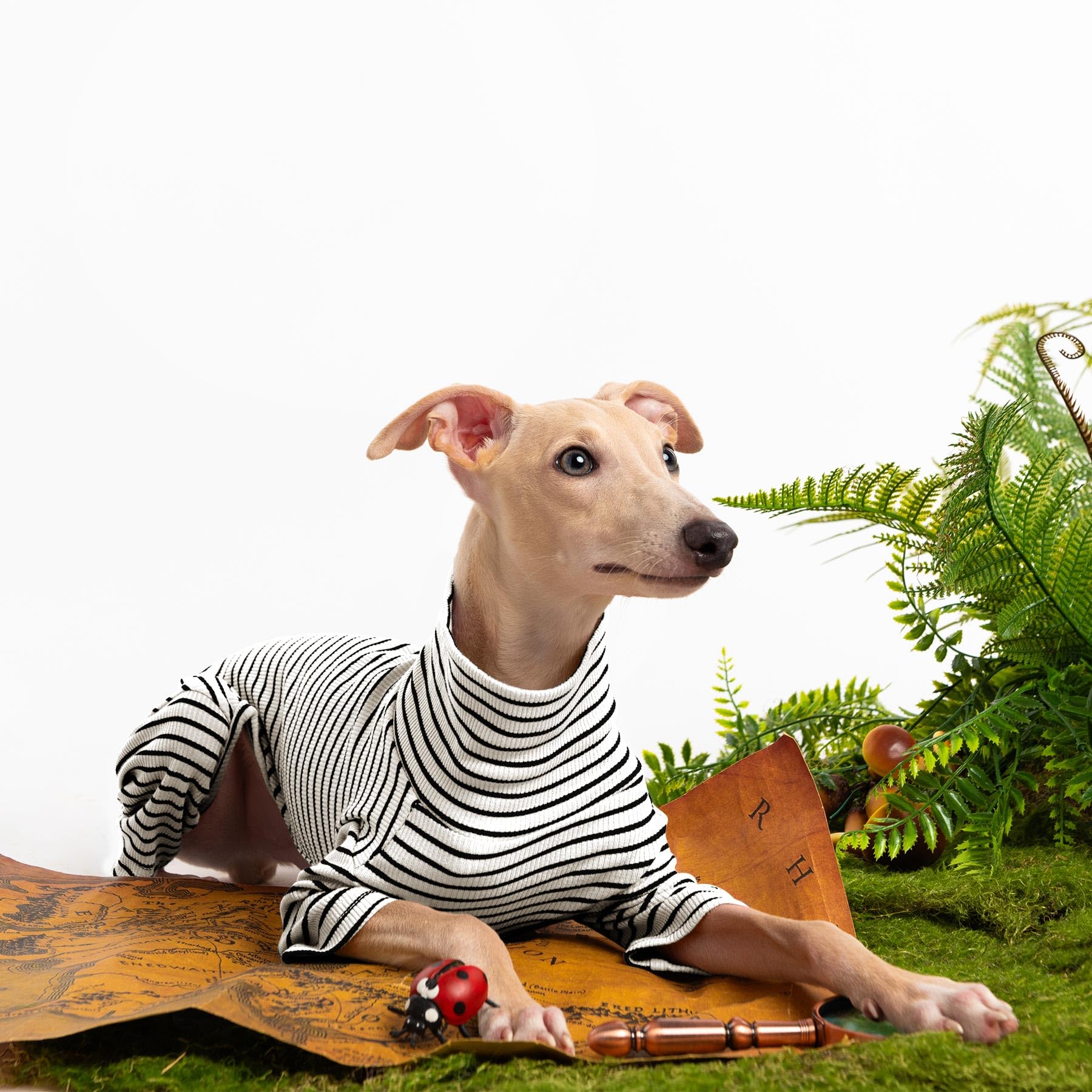 Haloumoning dog sweater six-sizes, fits multiple breeds with chest measurements.