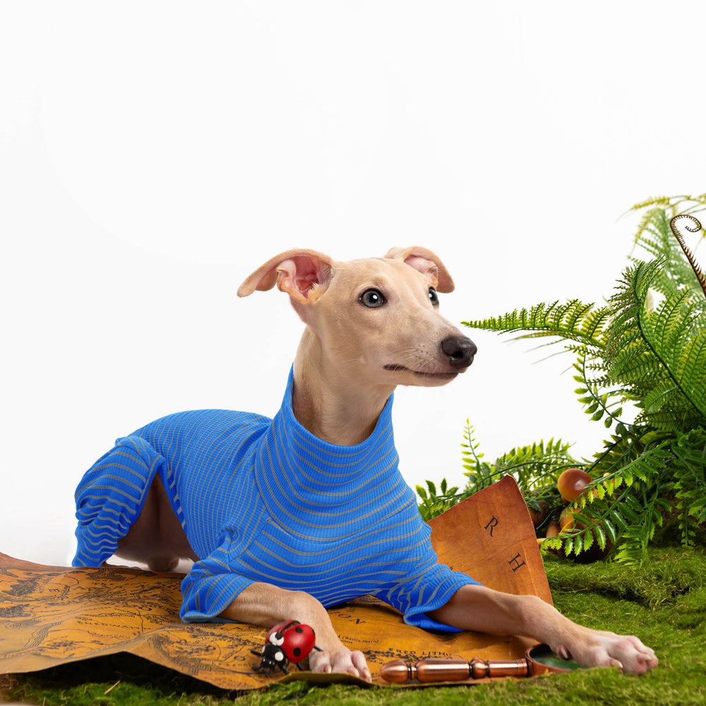 Haloumoning dog sweater size chart guides you to the right fit
