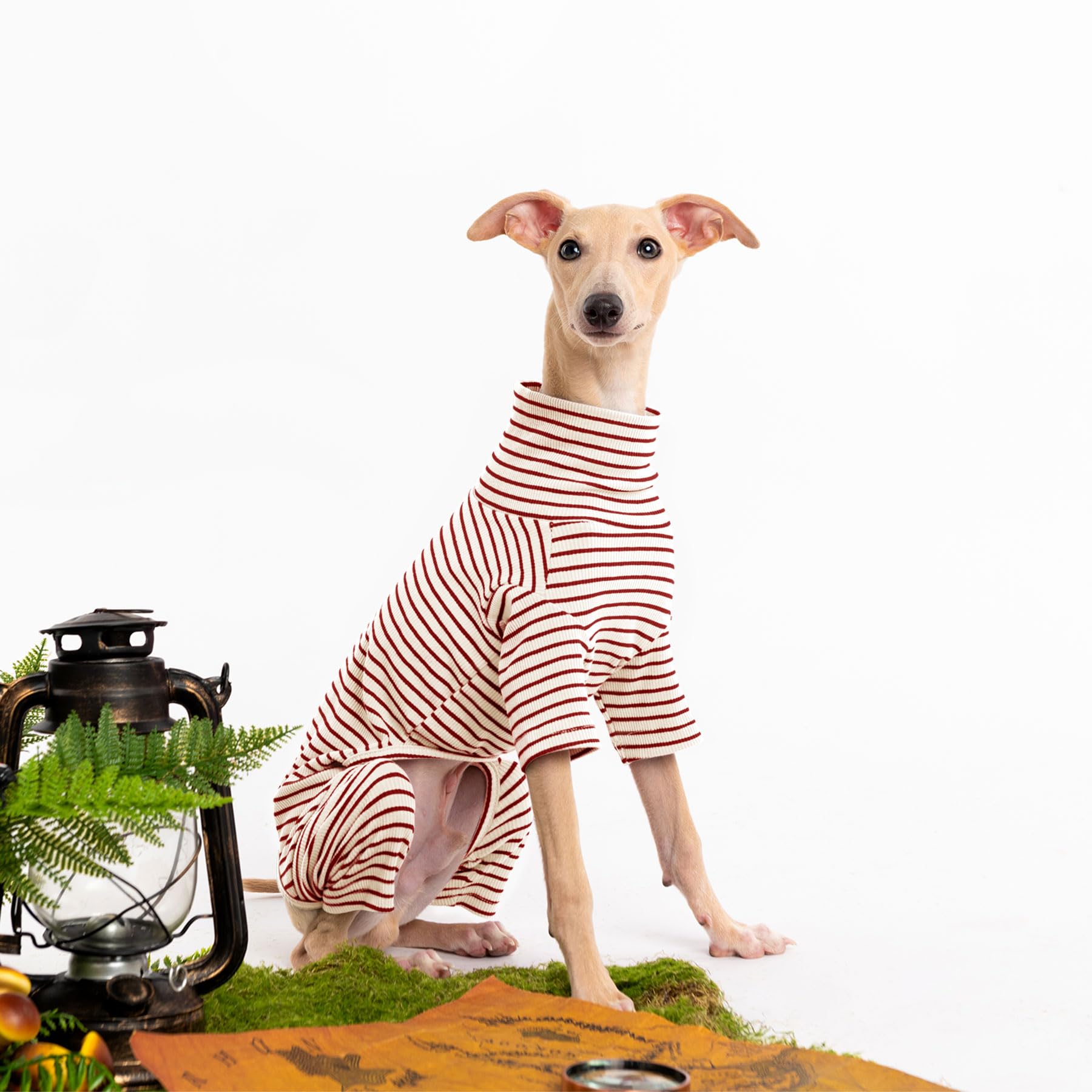 Haloumoning dog sweater soft breathable fabric enhances comfort during everyday wear