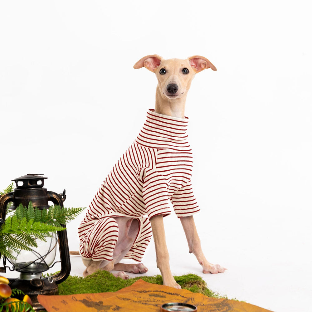 Haloumoning dog sweater soft breathable fabric enhances comfort during everyday wear