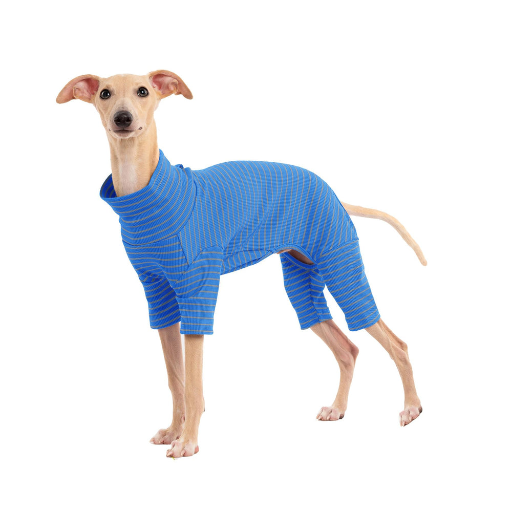 Haloumoning dog sweater striped back shows cozy warmth on chilly walks