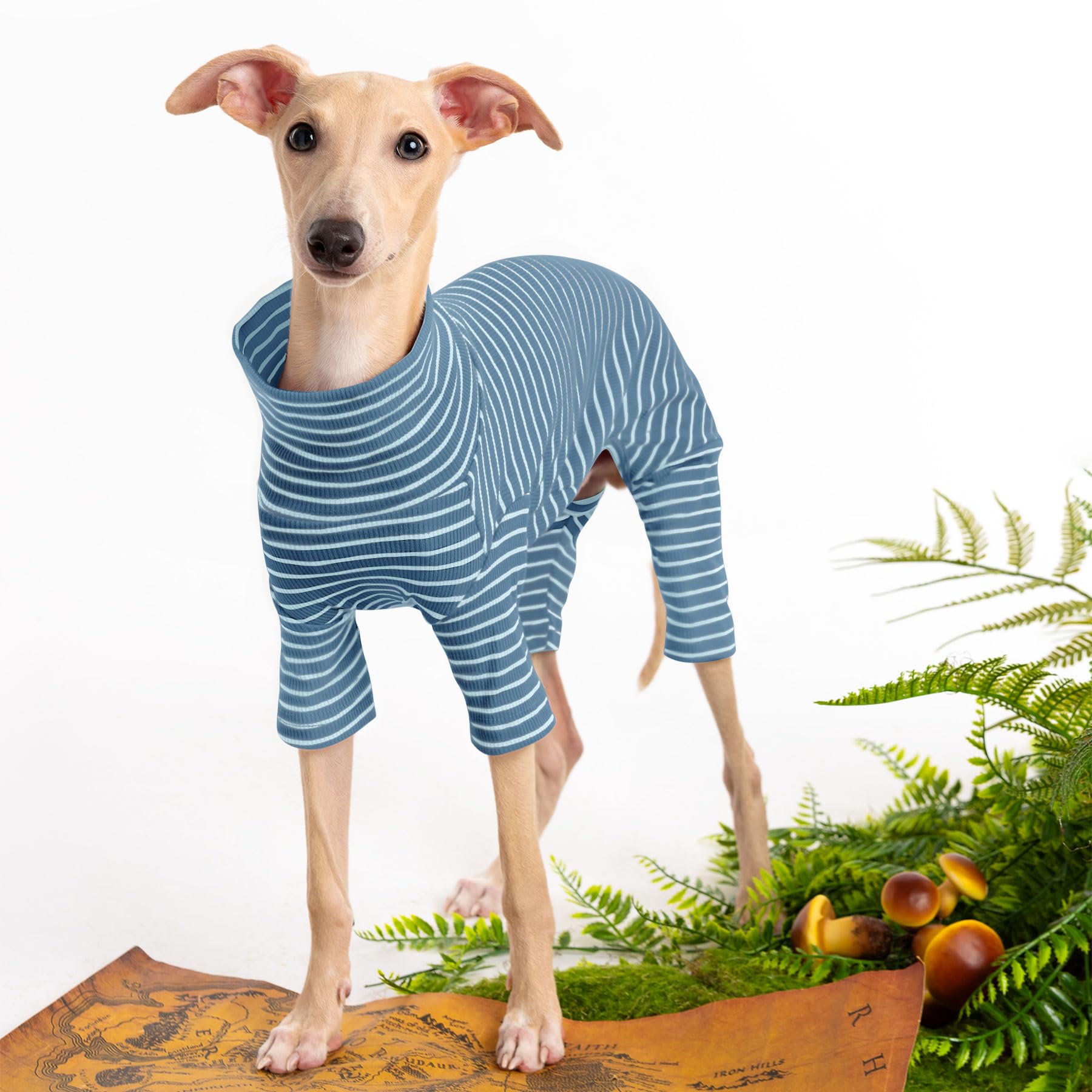Haloumoning dog sweater striped design and color block for festive style
