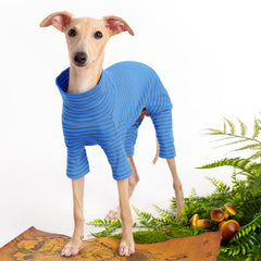 Haloumoning dog sweater striped front adds festive style for photos