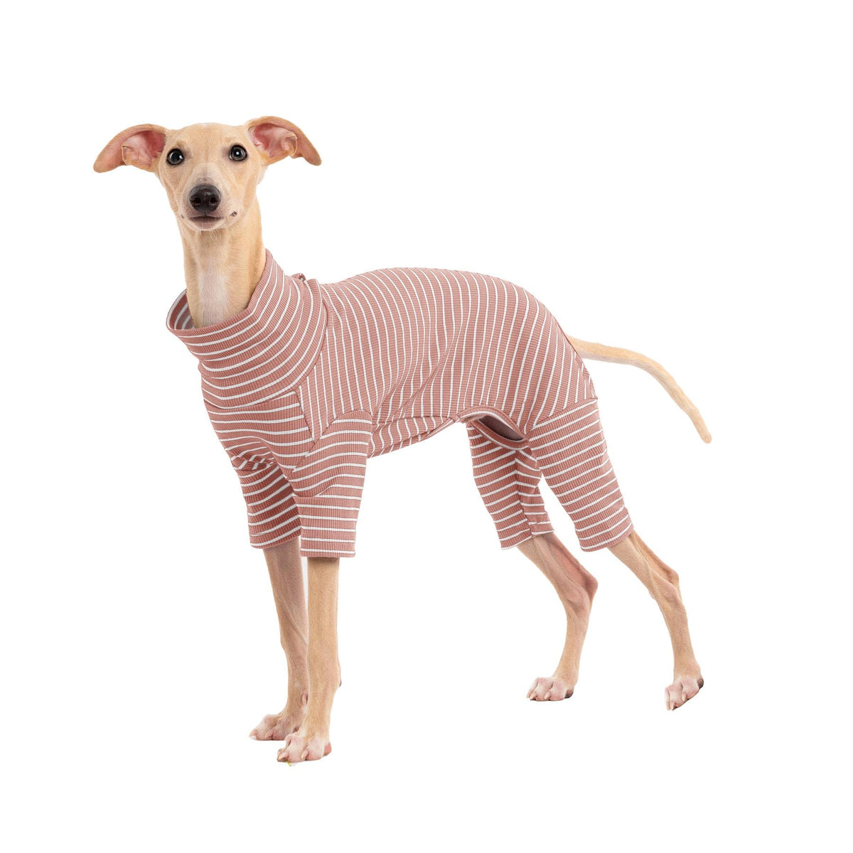Haloumoning dog sweater striping-design boosts winter style and warmth.