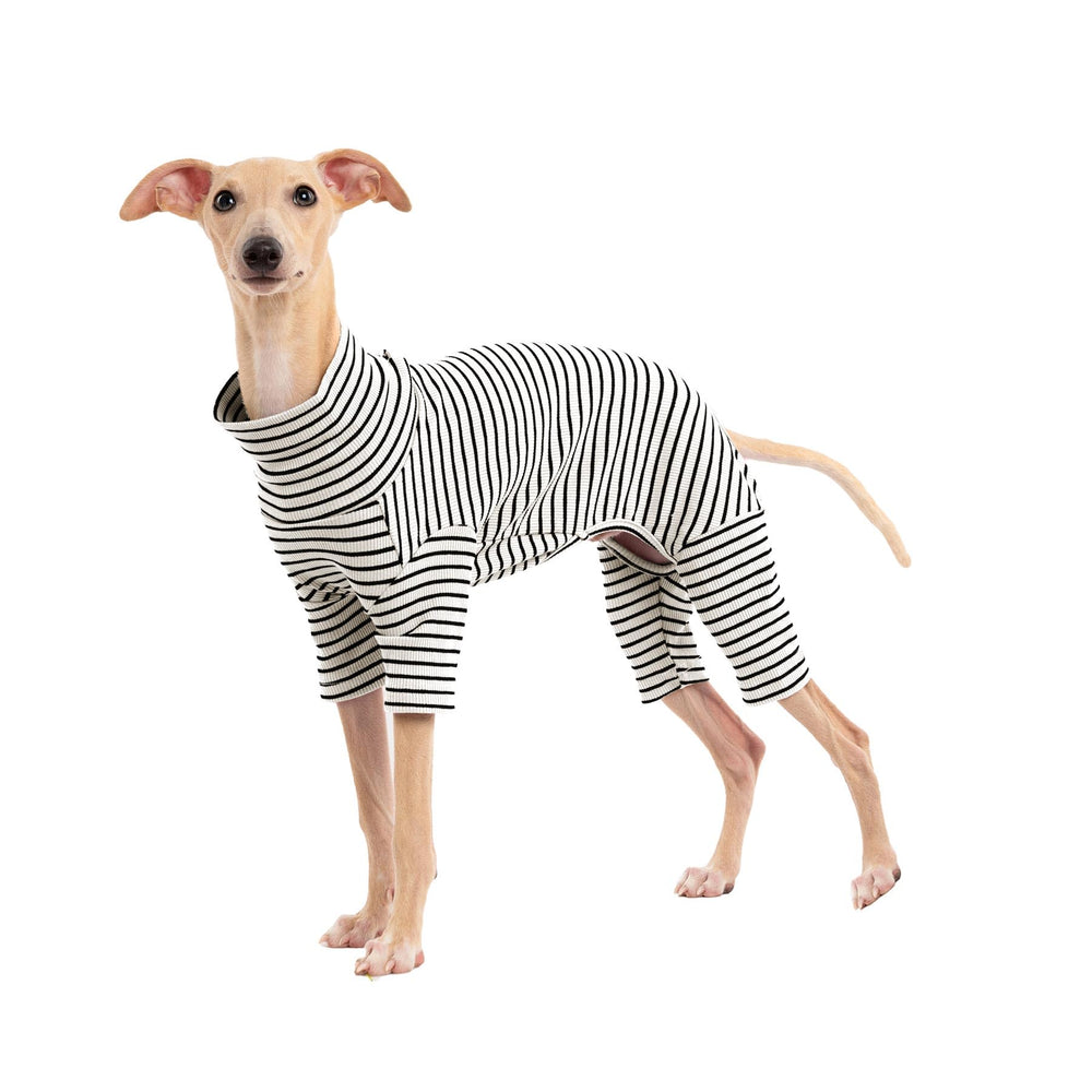 Haloumoning dog sweater stripe front view, cozy warmth for winter dogs.