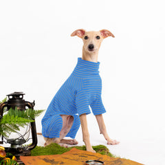 Haloumoning dog sweater turtleneck closeup highlights soft knit and fit