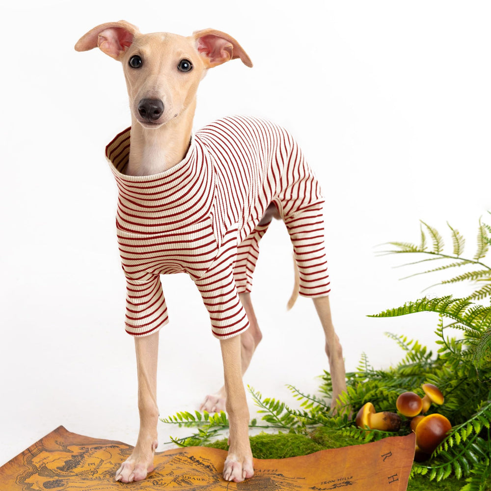 Haloumoning dog sweater turtleneck knitwear offers snug layering for chilly walks