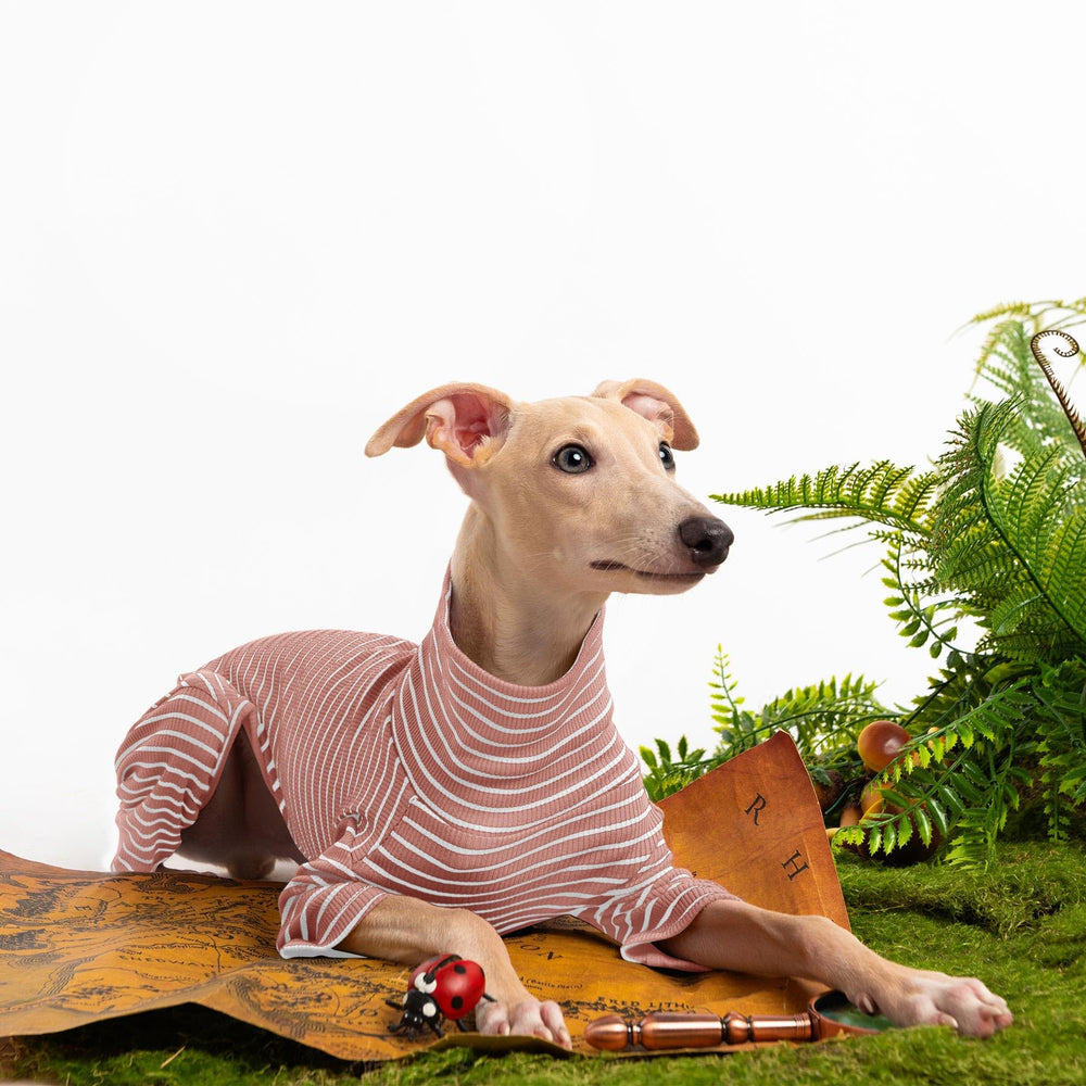 Haloumoning dog sweater turtleneck-knitwear demonstrates versatile warmth for daily wear.