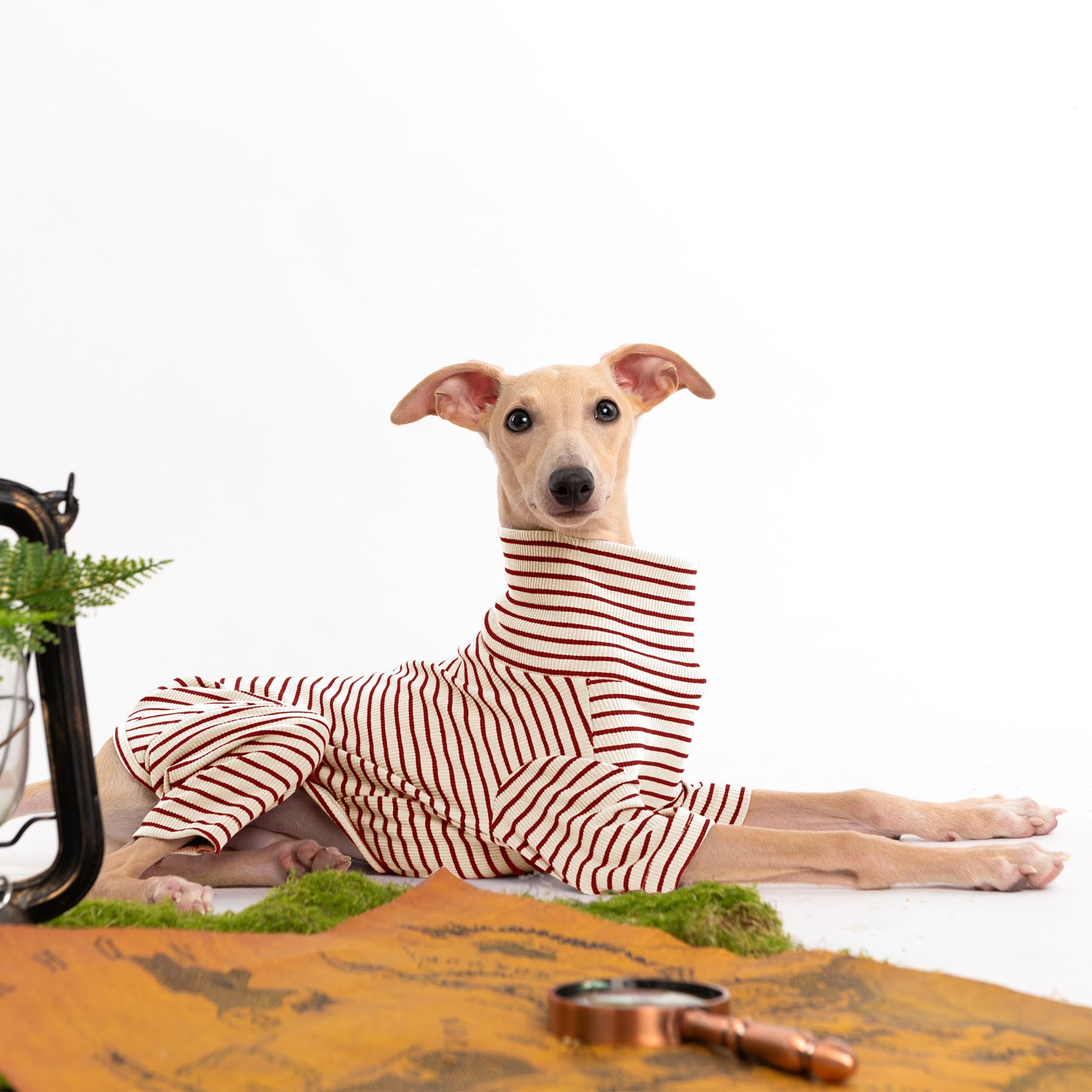 Haloumoning dog sweater two-foot design back and chest coverage