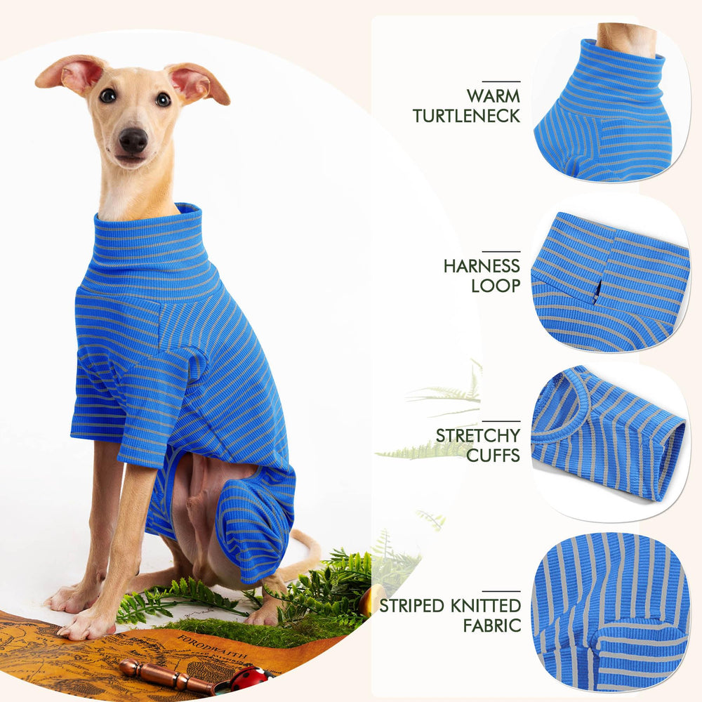 Haloumoning dog sweater worn on dog demonstrates warmth and festive charm