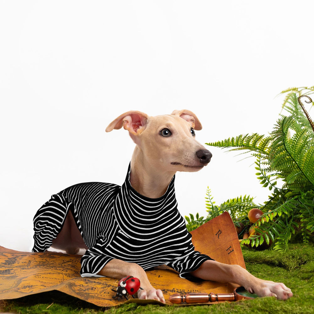 Haloumoning elastic underbelly design makes dressing quick and easy.