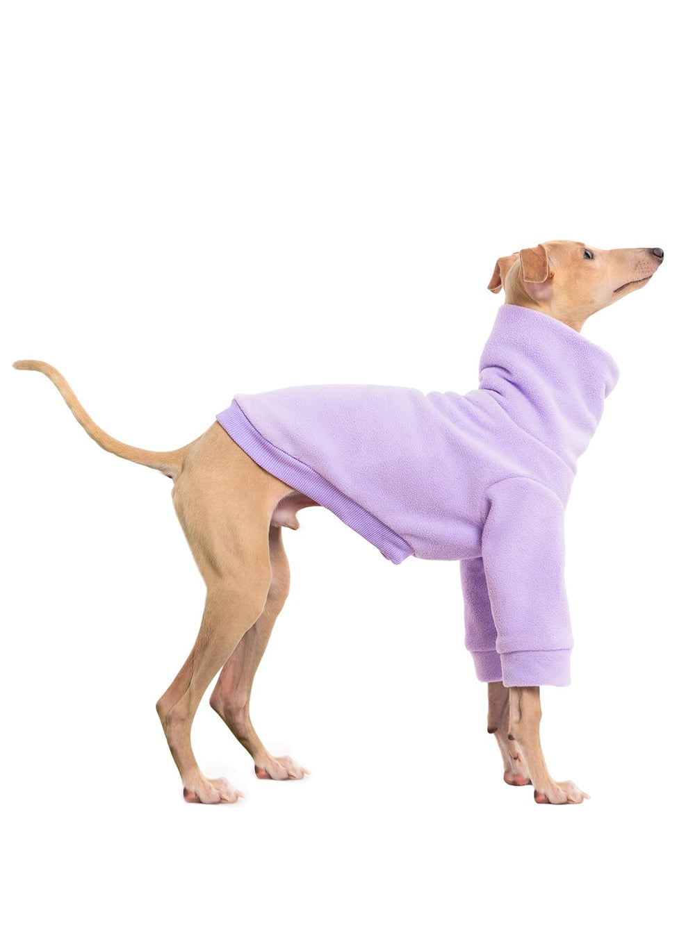 Haloumoning puppy sweater long sleeve provides cozy coverage for outdoor adventures