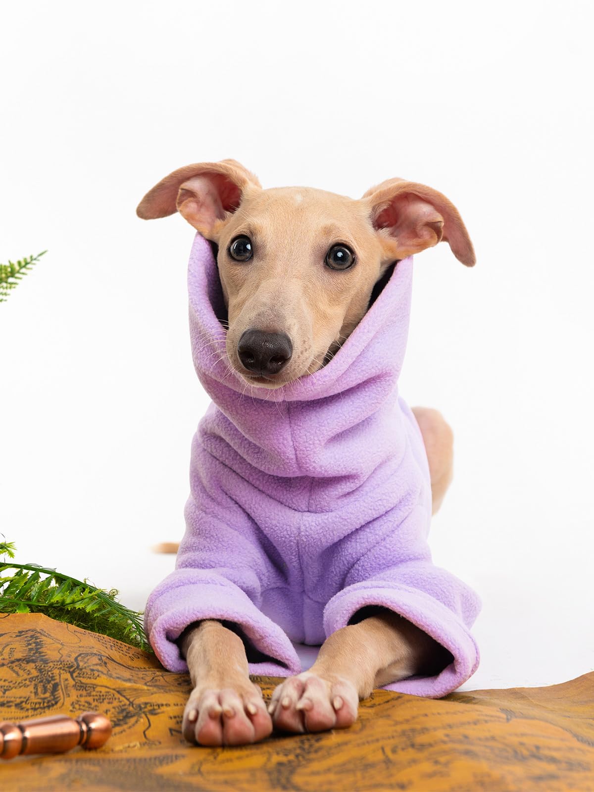 Haloumoning small-dog clothes add warmth for home, walks, and photos