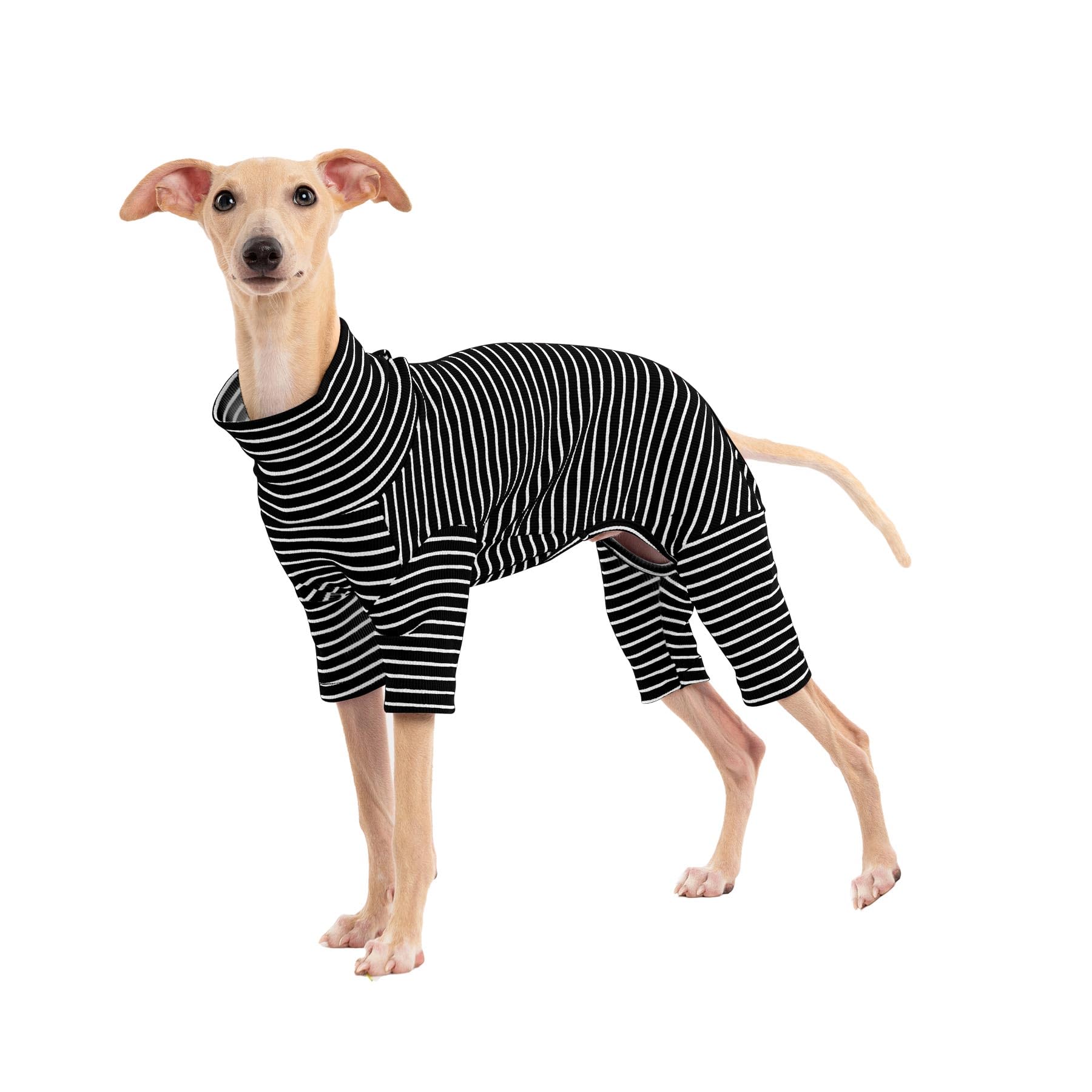 Haloumoning striped dog sweater offers cozy comfort for small dogs.