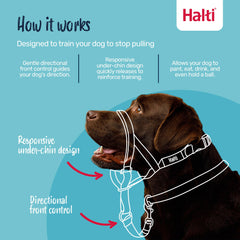 Halti Headcollar reflective accents improve visibility for safer evening walks.