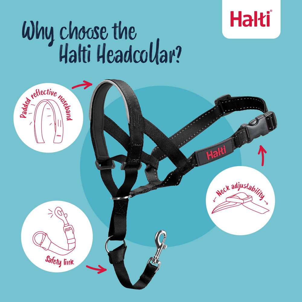 Halti Headcollar safety link attachment adds peace of mind when walking.
