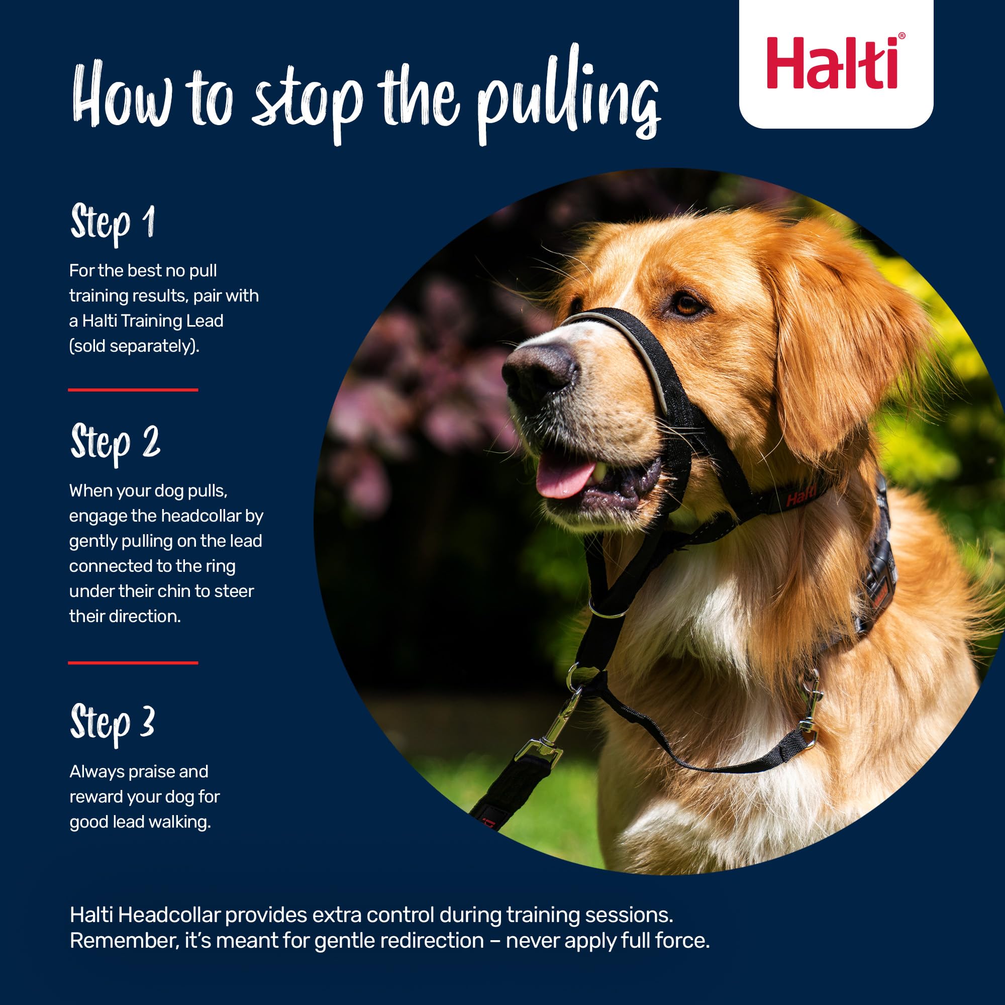 Halti Headcollar soft nylon webbing combines comfort with durable training.