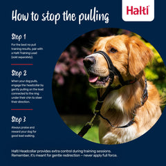 Halti Headcollar soft nylon webbing combines comfort with durable training.