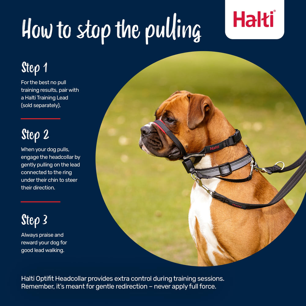 HALTI OptiFit reflective webbing boosts visibility in low-light outdoor walks